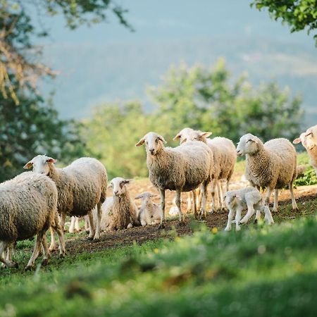 Eco Tourist Farm Ravnjak سلوفينج غرادتس المظهر الخارجي الصورة